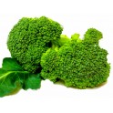 Brocoli ecológico