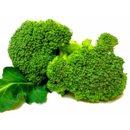 Brocoli ecológico