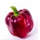 Pimientos rojos ecologicos