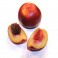 Nectarina bio