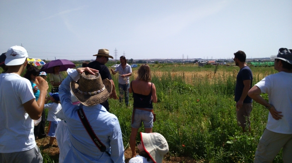 Visita el huerto ecológico en Madrid